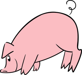 Cute little pig posing with the nose on the ground from side view	