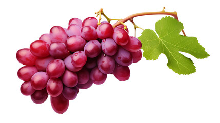 A bunch of grapes with a transparent background.