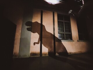 Dinosaur shadow projected on modern building at night, creating surreal sight. Towering silhouette...