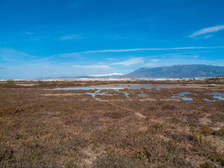 Paraje Natural Punta Entinas-Sabinar, catalogado como Espacio Natural Protegido. Roquetas de Mar, Almería, Andalucía, España.