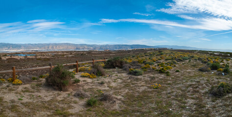 Paraje Natural Punta Entinas-Sabinar, catalogado como Espacio Natural Protegido. Roquetas de Mar, Almería, Andalucía, España.