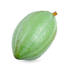 Cocoa isolated on white background