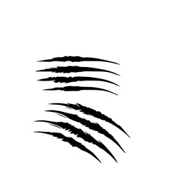 animal claw scratches mark isolated