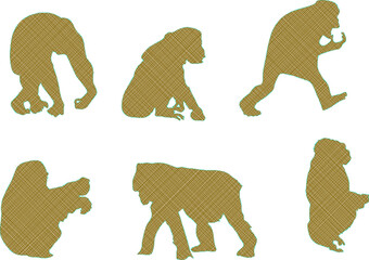 vector illustration sketch design animal drawing primate monkey chimpanzee