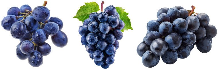 Blue grapes collection, set of fresh grapevines isolated on a transparent background