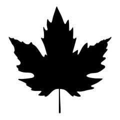 Vector illustration of a black maple leaf on a white background