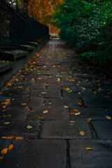 cobblestone street in autumn backyard city urban space vertical photography with soft focus...