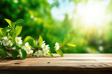 spring flowers on wood background