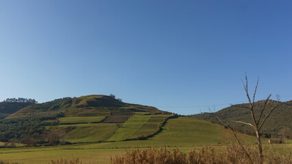Fototapeta premium Typical landscape of hill side with fields and vineyards at Calabria, Italy