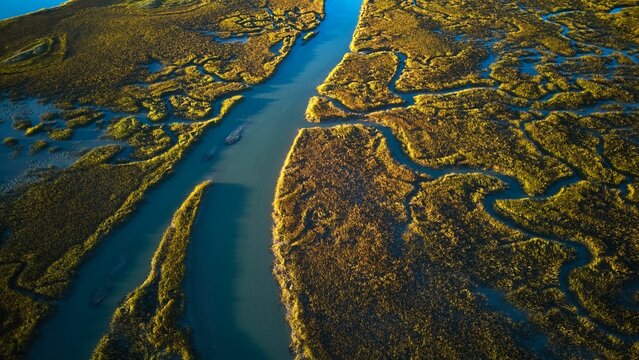 Aerial view of the lush wetlands of the South Carolina coast
