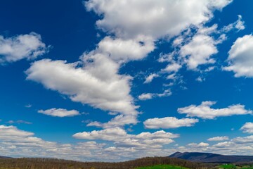 cows grazing and a sky that has some clouds in it