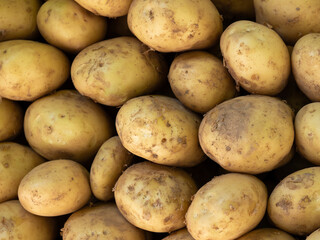 Bulk potatoes for sale at the market