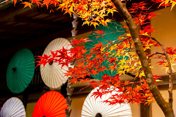 Japanischen Schirmen