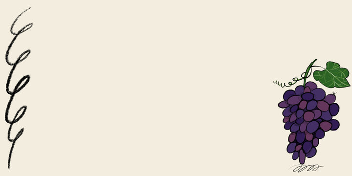 Minimalistic grapevine illustration with tendrils and leaf