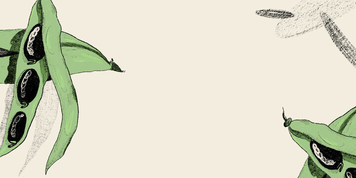 Green bean pods illustration
