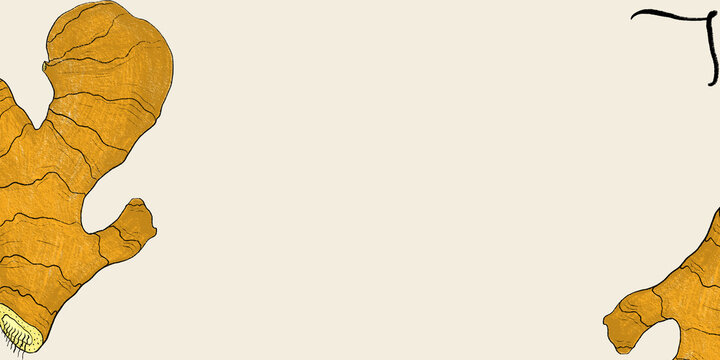 Stylized Ginger Root Illustration for Culinary Use