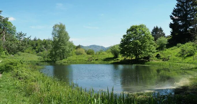  Blick auf den Letzbergweiher zwischen Sch&ouml;nau im Schwarwald und dem Litzberg in gr&uuml;ner und ruhiger Umgebung
