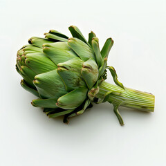아티초크, Artichoke
