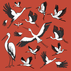 Isolated set of realistic storks in different poses.. Hand drawn vector illustration of storks on a red background, village and birds.