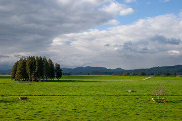 clouds over the field