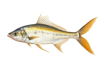 Dancing Liquid: A Spectacular Splash. On a White or Clear Surface PNG Transparent Background.