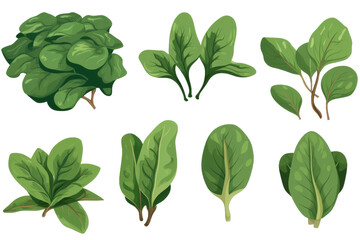 Fototapeta premium Verdant Symphony: A Cascade of Emerald Leaves. On a White or Clear Surface PNG Transparent Background.