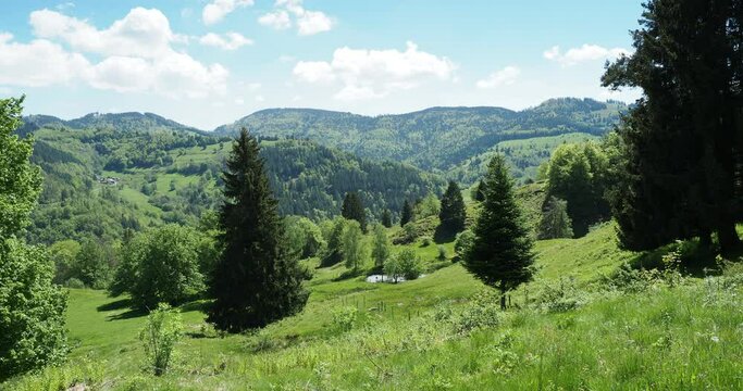 Rund um Sch&ouml;nau. Oberhalb vom Letzbergweiher mit einer tollen Aussicht nach Wiesen und gr&uuml;nen H&uuml;gel des Schwarzwaldes

