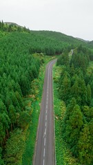 Aerial view of a beautiful landscape on a sunny day in the Philippines