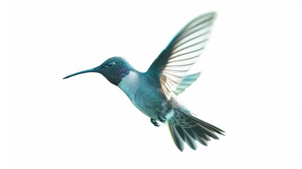 A mesmerizing photo showcasing the graceful movement and vibrant colors of a hummingbird in flight, beautifully contrasted against a bright white background.