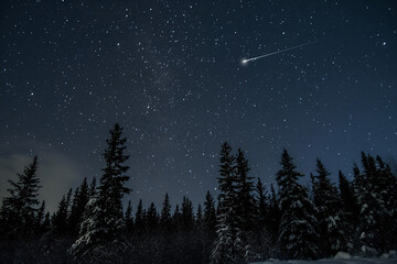 Breathtaking shooting star illuminates starry sky above peaceful, snow-covered evergreen trees in a serene winter scene