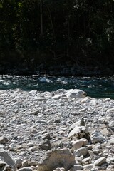 Tranquil river in a lush forest with a rocky shoreline
