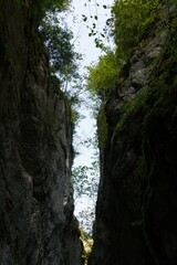 Scenic view of tall rocks and trees in a natural environment
