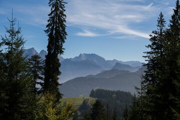 Scenic landscape of tall trees silhouetted against the backdrop of majestic mountains