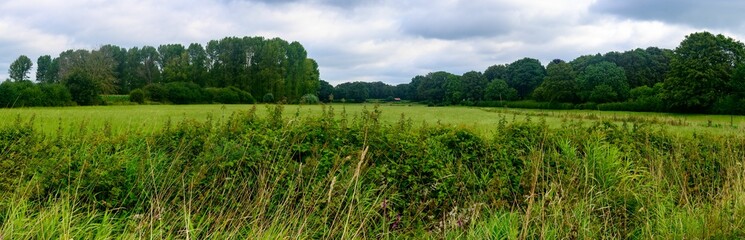 green field with tall grass surrounded by trees and clouds in background