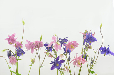Texture with pastel flowers on light background. Empty space to fill with content, shallow depth of field.