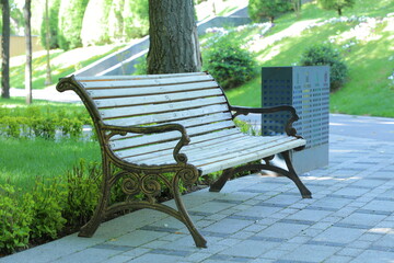 a park bench with a tree in the background and a bench with a tree in the background.