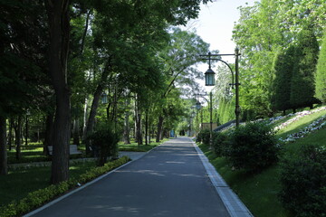 a road with a sign that says  go  on it.