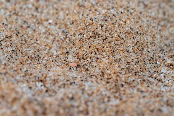 Shot of the beach with sand and the ocean's surface visible