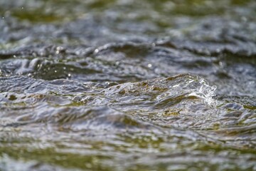 a close up of a small river with water moving over it