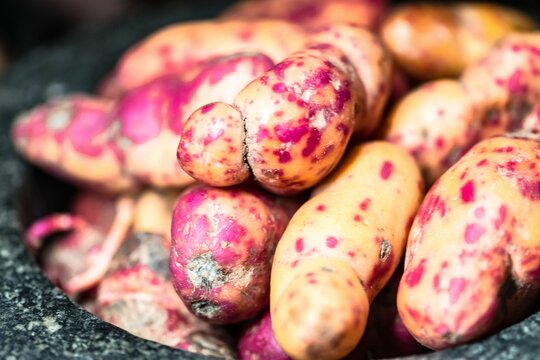 Close-up view of a colorful bowl of Tuberosus ullucus olluco with red spots