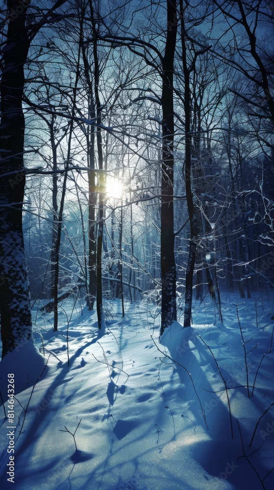 Poster a snowy forest with a bright sun shining through the trees. the sun casts a warm glow on the snow, c