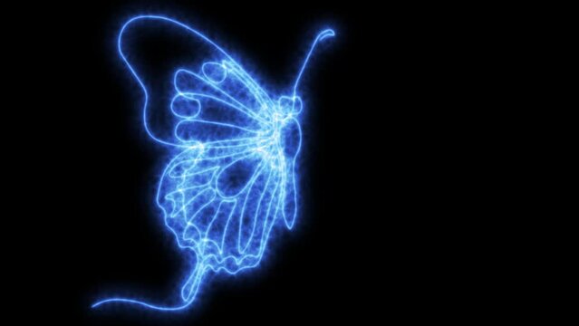 Self drawing animation one continuous line draw, logo, butterfly, Blazing  blue flame, energy