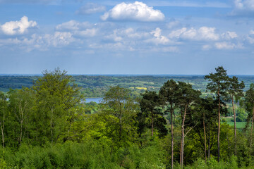 Obraz premium lickey hills country park hiking walking west midlands england uk