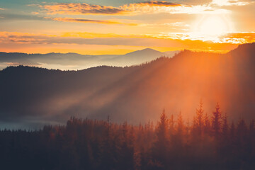 Bright orange sunrise over mountain range and pine tree forest. Morning fog mist in highland valley. Golden hours, sunset colorful sky, sun rays. Beautiful nature summer landscape. Travel background