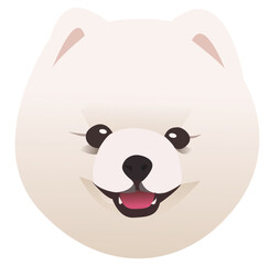 Vector portrait of cute pomeranian dog isolated on white background