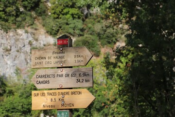 Variety of wooden road signs line the side of a dirt path, with a backdrop of trees and foliage