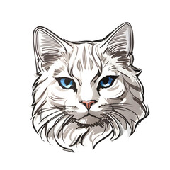 illustration of a cat