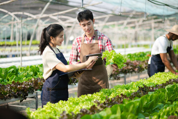  Asian couple of farmers inspects plants with a digital tablet In a greenhouse plantation.