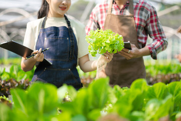 Asian couple of farmers inspects plants with a digital tablet In a greenhouse plantation.