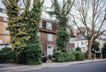 Ivy-Covered Trees Beside Brick Townhouse in London